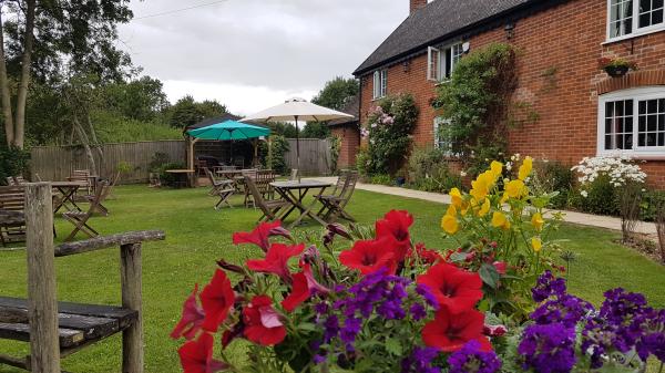 Pub Garden Flowers - Large Pub Garden Flowers - Large