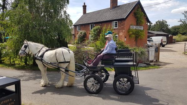 Pubn Horse & Cart - Large Pubn Horse & Cart - Large